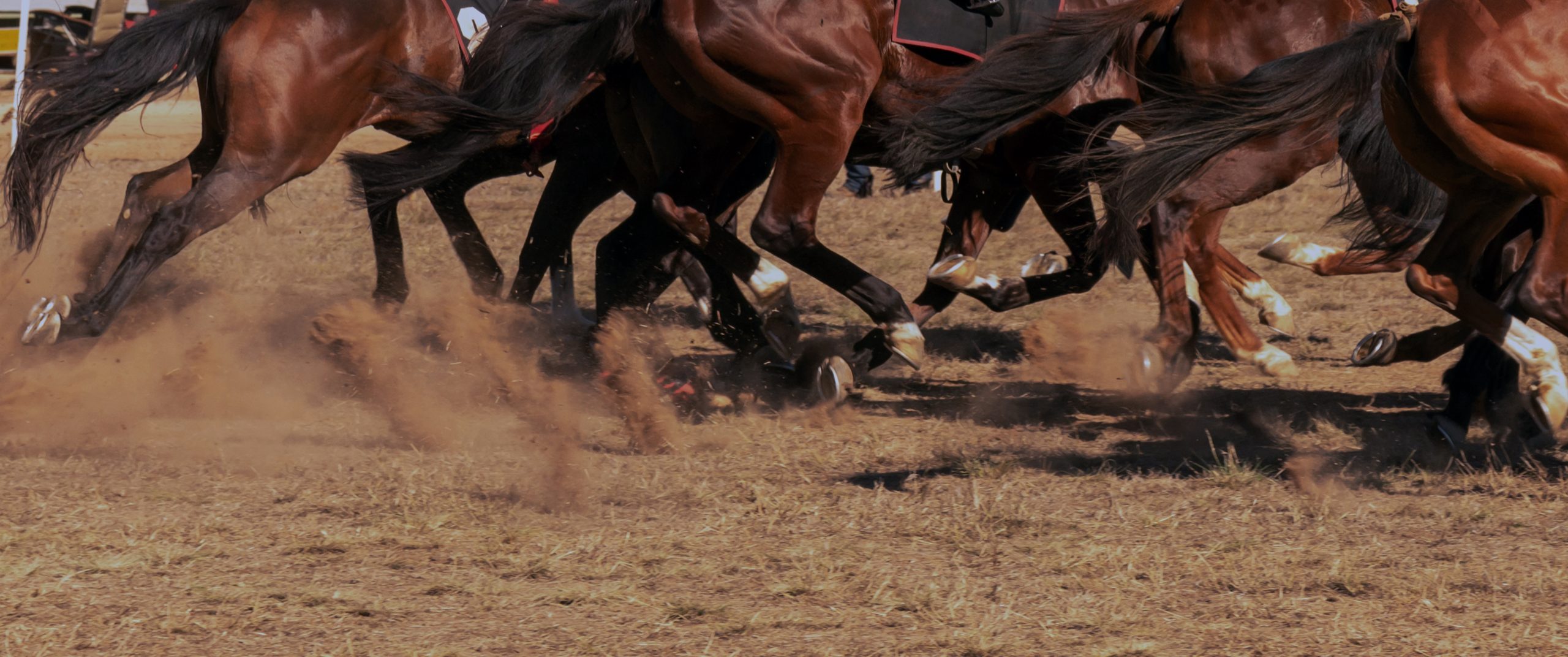 bottom-half-of-horses-running-on-dry-grounds-that-2023-11-27-04-54-11-utc